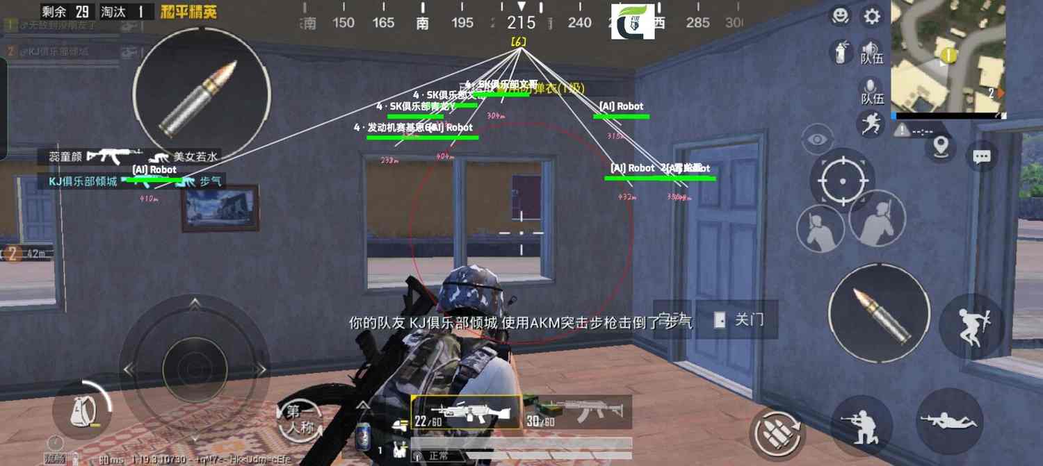 和平精英「雪花」直装辅助